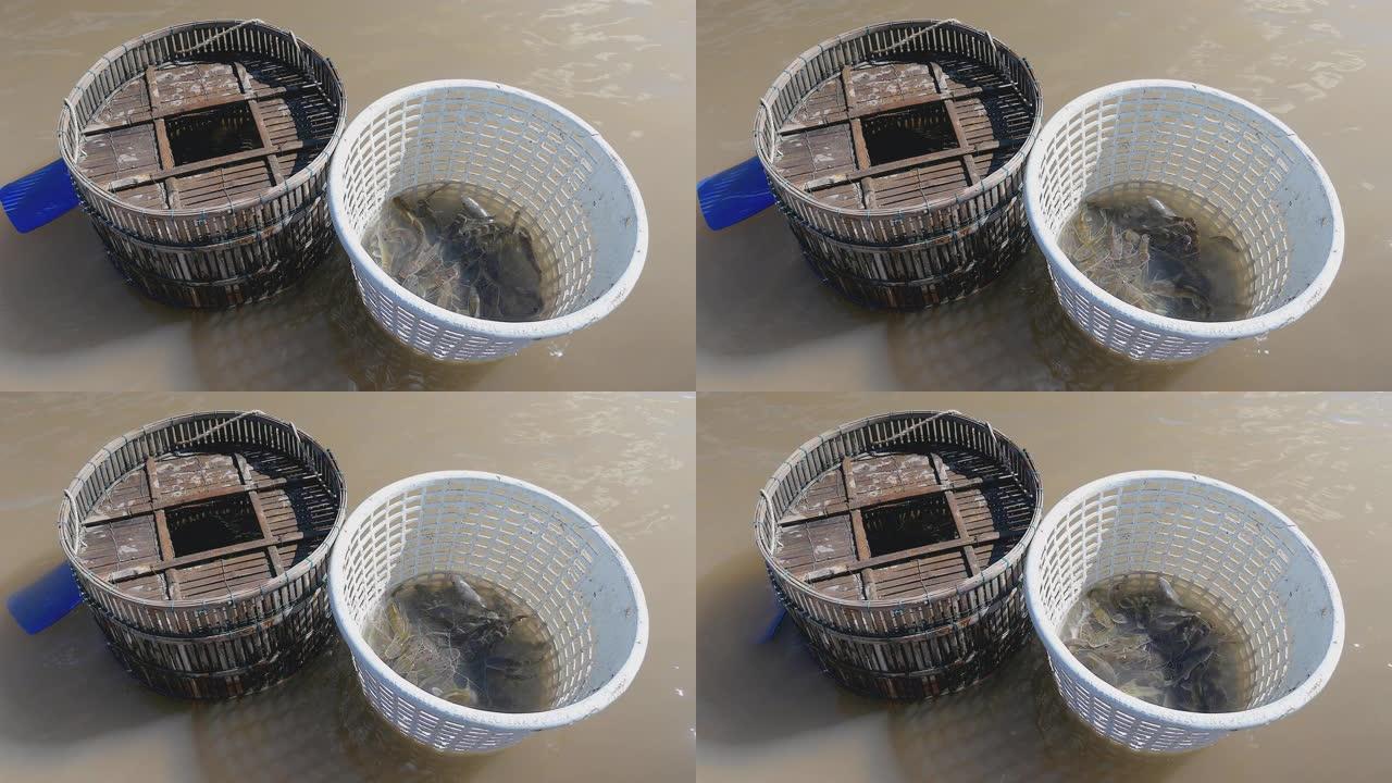浸泡在浅水区的竹篮和塑料篮中的渔获物 (特写)