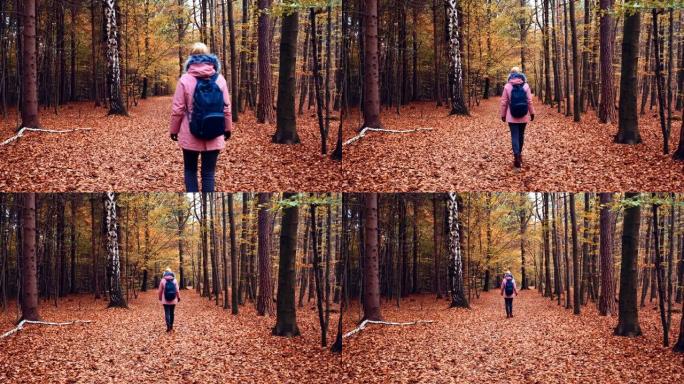 用蓝色背包和丁香徒步夹克在秋天的森林小径上行走，落叶的女人的视野