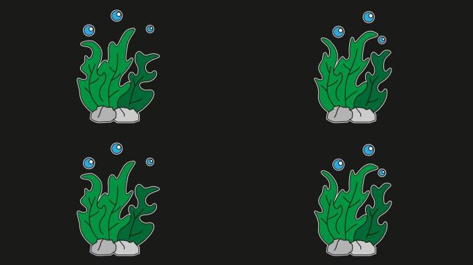 海藻动画黑屏