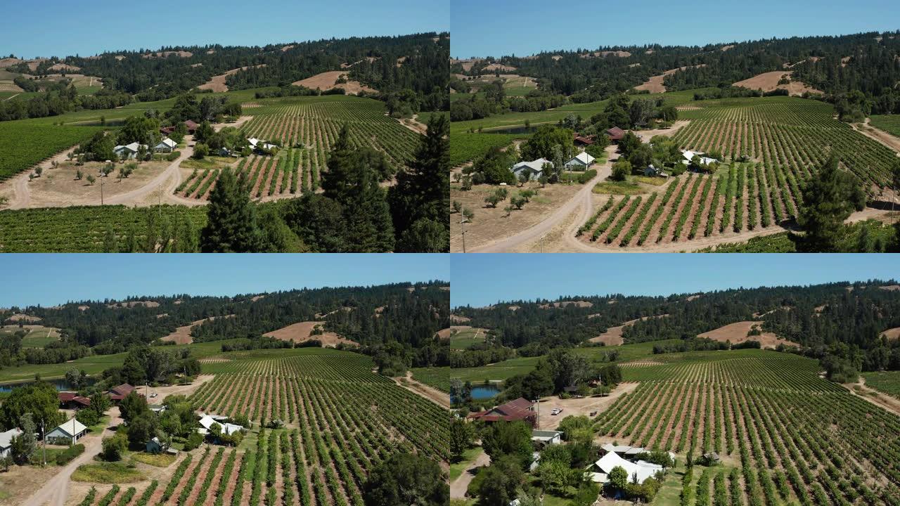 无人机鸟瞰加州北部安德森谷的葡萄园