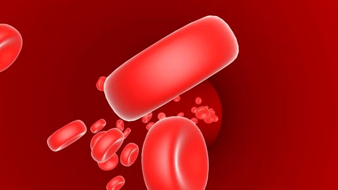 红细胞抗体漂浮通过静脉无缝动画。椭圆形物体沿着红色隧道循环镜头移动。血液循环3d视频。动脉中的血红蛋