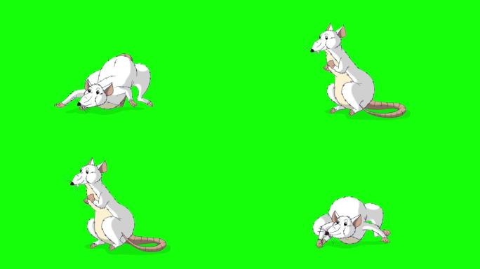 白鼠爬出来然后隐藏回动画色键