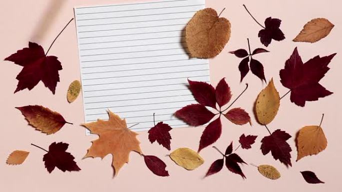 铅笔在一张有衬里的纸上滚动并停止。粉色背景，彩色秋叶。返校的概念