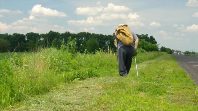 夏季，乌克兰高级农民用手杖背着沉重的麻袋在路边移动