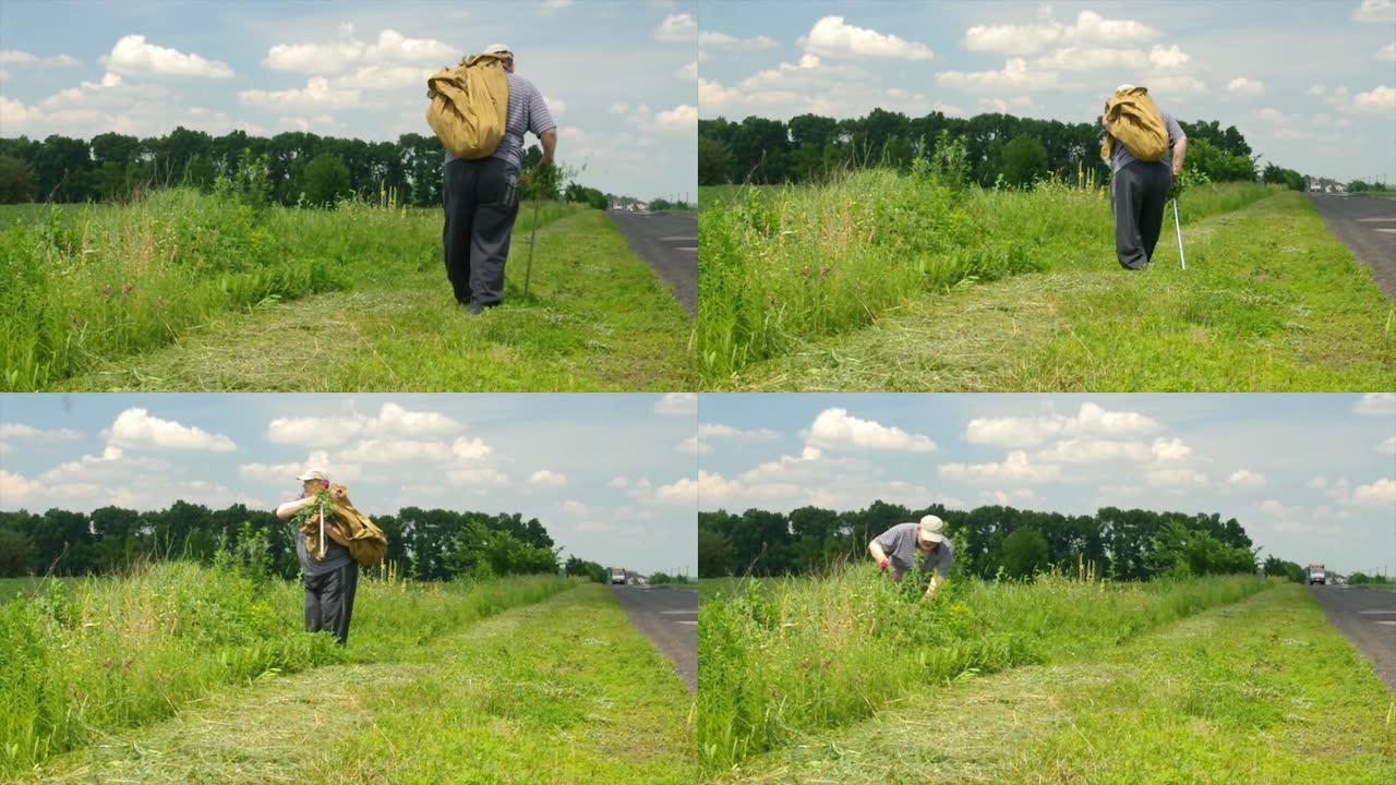 夏季，乌克兰高级农民用手杖背着沉重的麻袋在路边移动