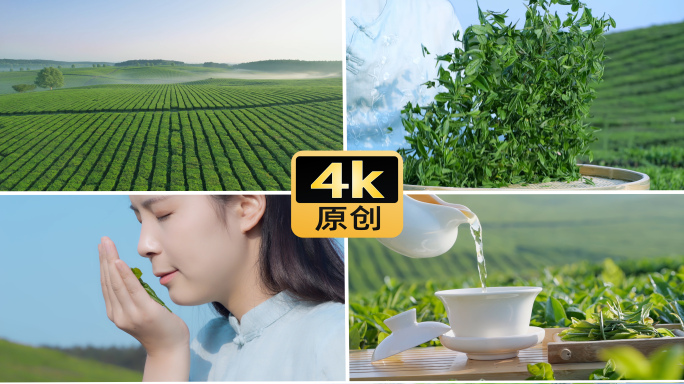 茶叶茶园茶场采茶倒茶泡茶茶文化
