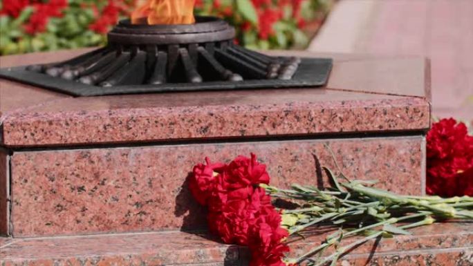 塞瓦斯托波尔永恒火焰纪念碑在花岗岩台阶上的康乃馨红花。
