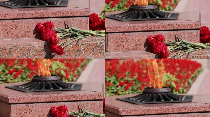 塞瓦斯托波尔永恒火焰纪念碑在花岗岩台阶上的康乃馨红花。