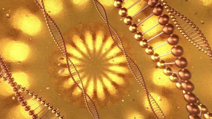 带有DNA分子漩涡的金色几何背景。3D渲染循环4k