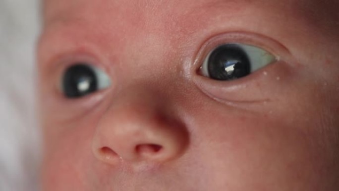 新生儿眼睛观察的宏观特写