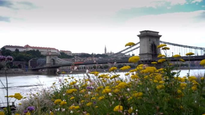 布达佩斯链桥紧闭鲜花