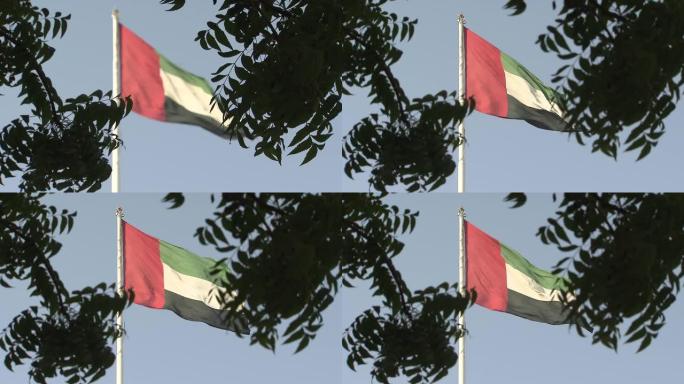 阿拉伯联合酋长国国旗