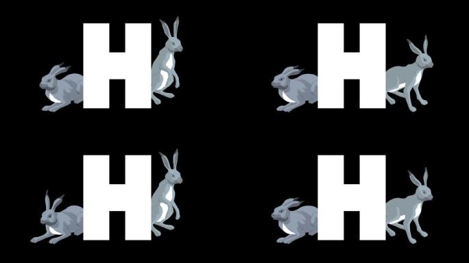 背景上的字母H和野兔