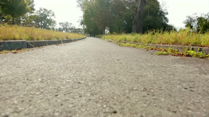 乡村的旧尘土飞扬的铺砌道路，草地和树木在场边生长