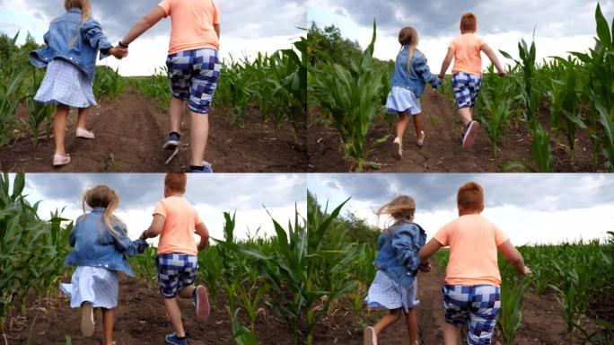 小女孩和男孩手牵手，在玉米田里奔跑时玩得开心。可爱的孩子在玉米种植园中慢跑，转向相机并微笑。快乐的童