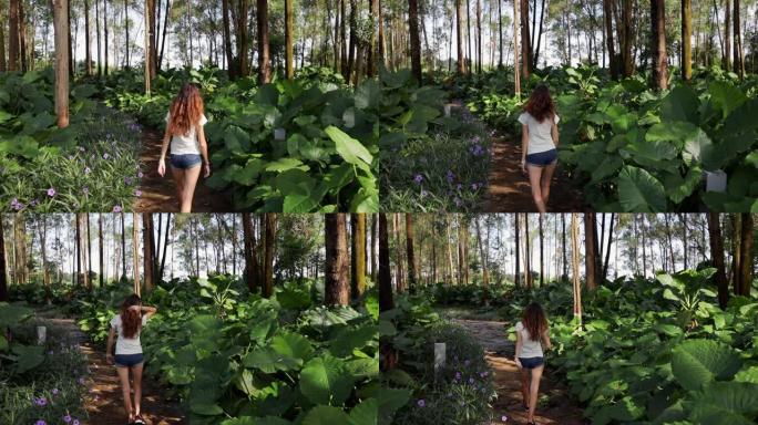 一个黑发的年轻女孩走在高大的热带灌木丛中。
