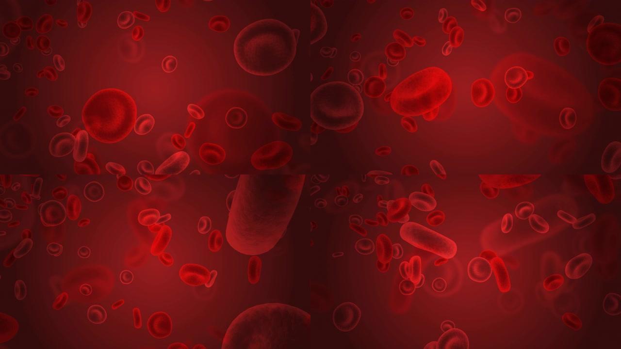 流经循环系统的红细胞