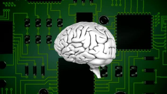大脑和数字电路