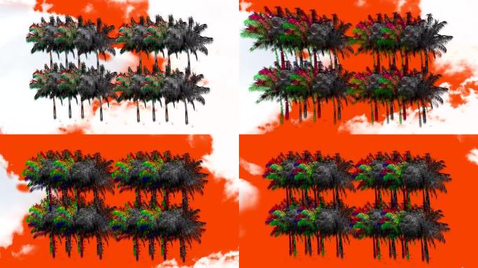 棕榈树的静态形状4k