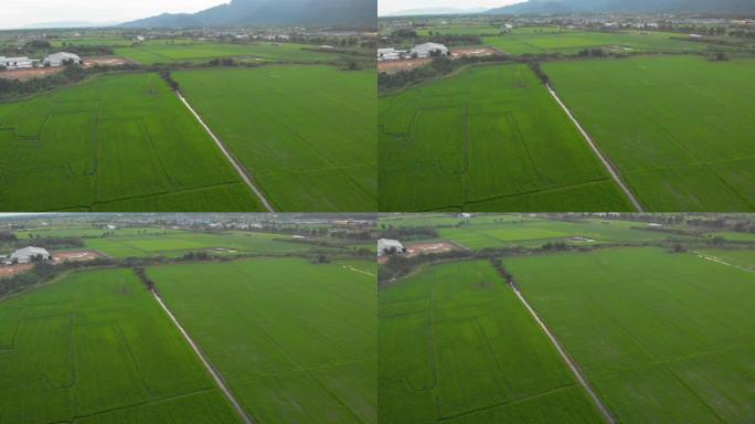 4k无人机拍摄缓慢提升，稻田，阴影阳光，喜怒无常的天空，多云，绿草如山