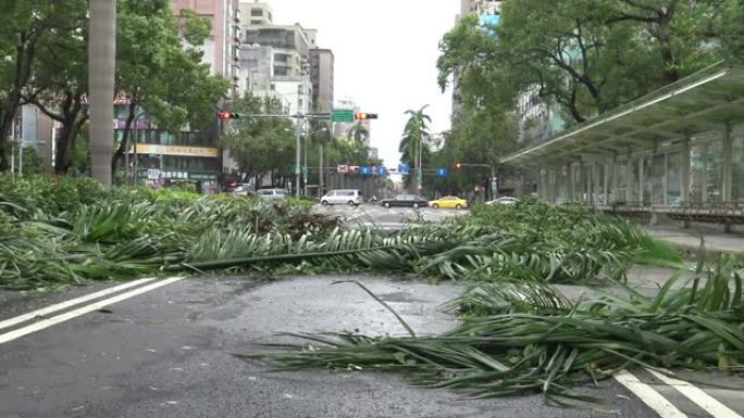 热带风暴袭击台湾后，道路受损，台风Soudelor 4K