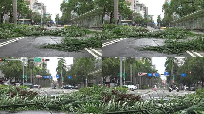 热带风暴袭击台湾后，道路受损，台风Soudelor 4K
