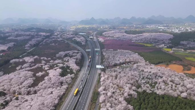 贵州最美高速春天的高速