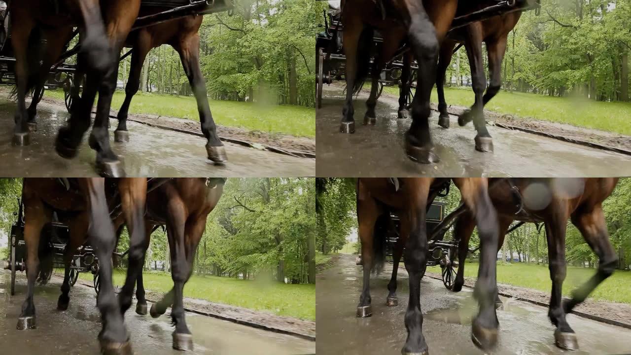 在路上奔跑的马的腿的特写