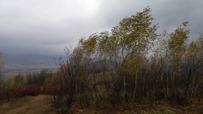 喀尔巴阡山脉的秋季景观