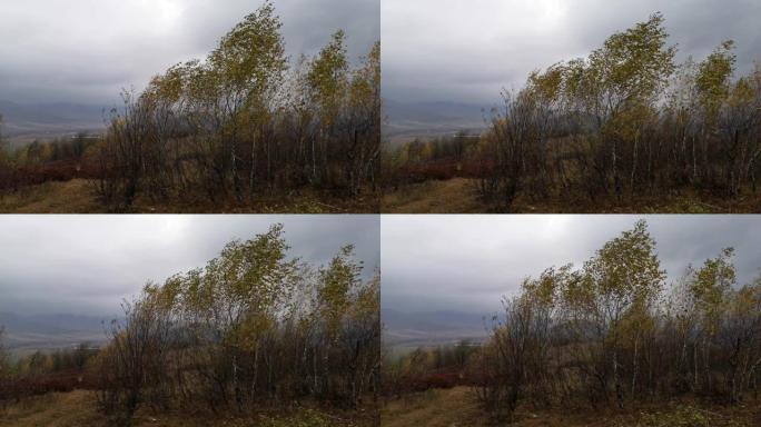 喀尔巴阡山脉的秋季景观
