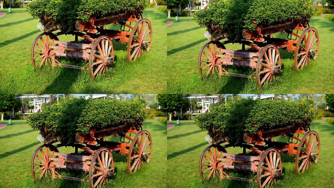 旧马车经过翻新和装饰，用作鲜花的大锅。