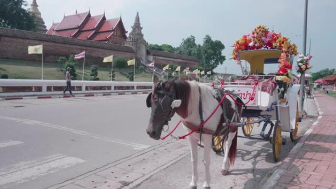 泰国南邦省南邦卢昂 (Wat Prathat Lampang Luang) 的马车