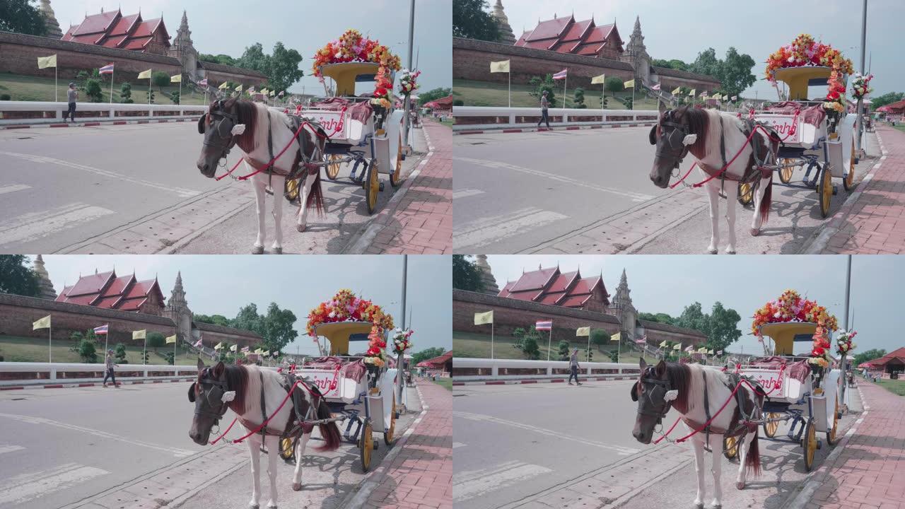 泰国南邦省南邦卢昂 (Wat Prathat Lampang Luang) 的马车