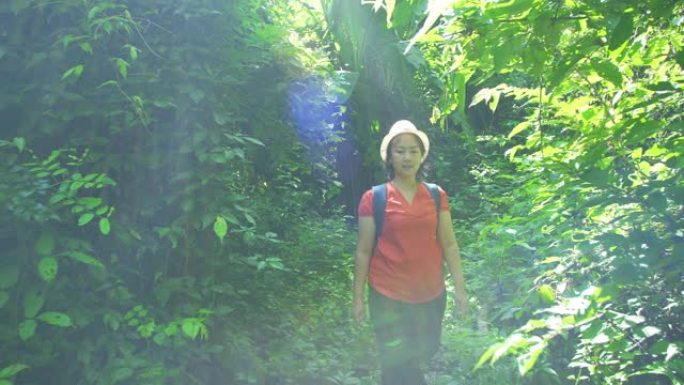 背包客亚洲妇女走在森林和阳光的早晨。徒步旅行者在亚洲森林旅行探险中徒步旅行泰国