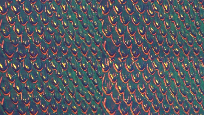 多彩的异国蛇皮纹理。全息鳞状蛇皮纹理，珠光彩虹色背景