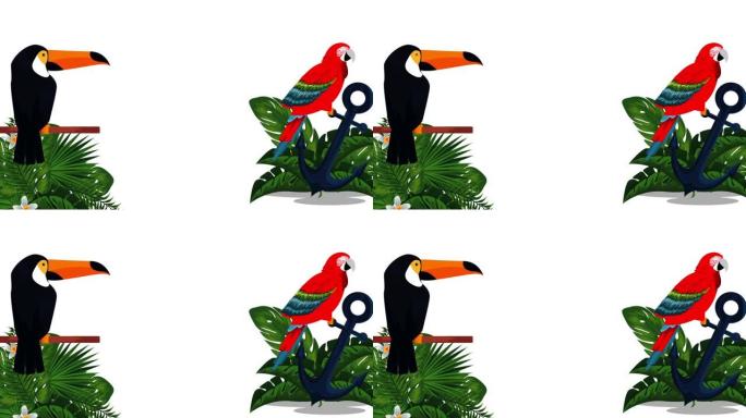 异国巨嘴鸟和帕帕加约叶子动画