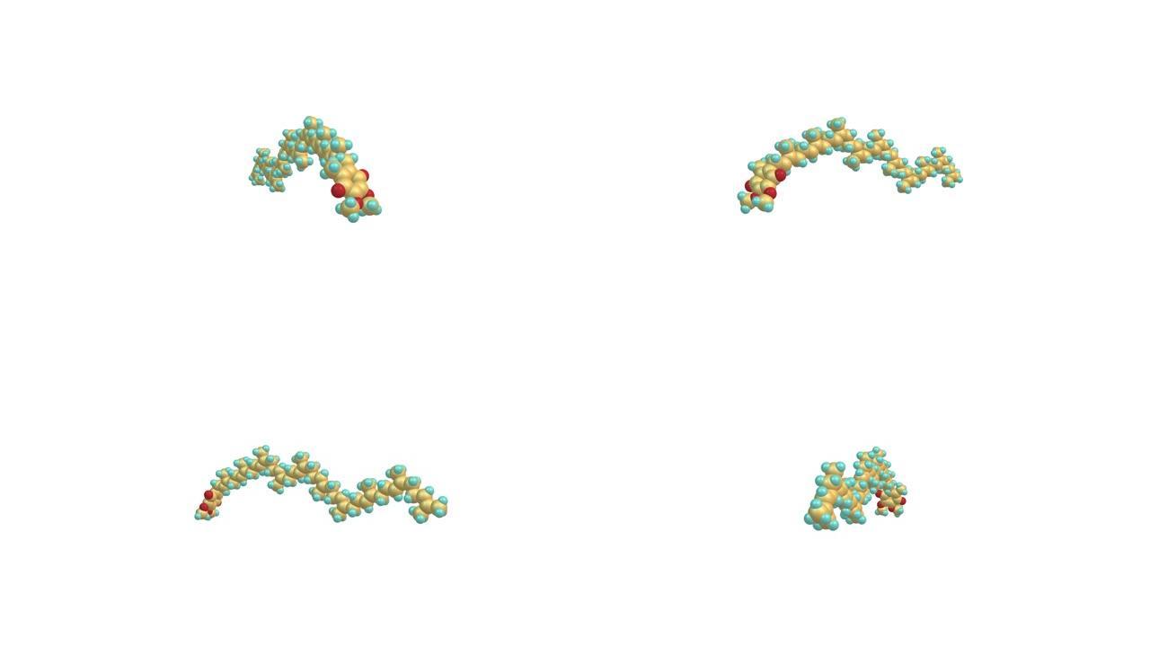 旋转泛醌分子结构视频