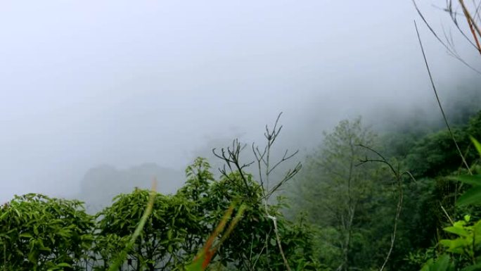 泰国碧差汶Phu Thap Boek山上的浓雾