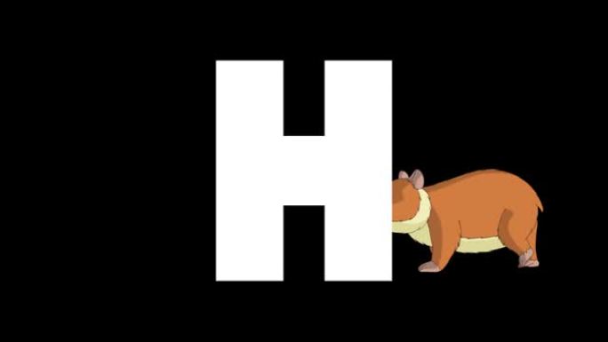 字母H和背景仓鼠