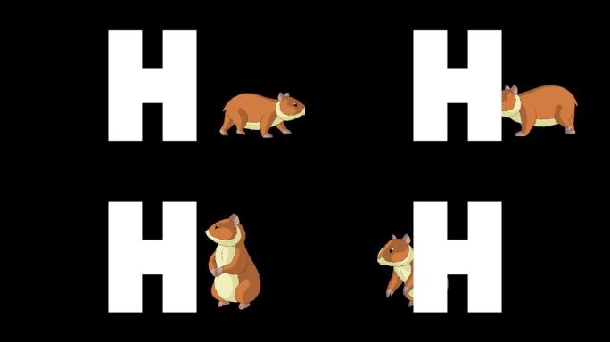 字母H和背景仓鼠