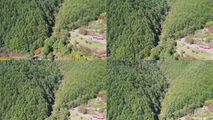 台湾台中早秋季节针叶松林俯仰空中无人机视图，背景为山脉，乡村为山脉。4K。