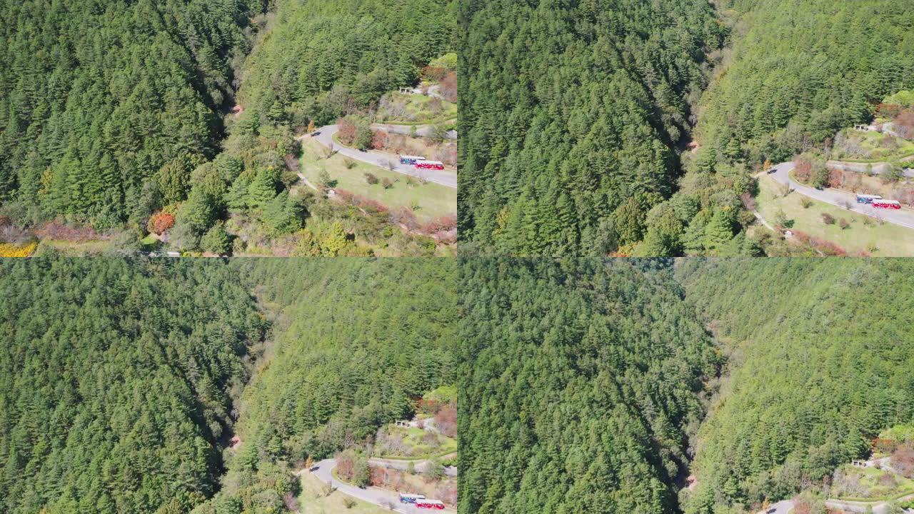 台湾台中早秋季节针叶松林俯仰空中无人机视图，背景为山脉，乡村为山脉。4K。