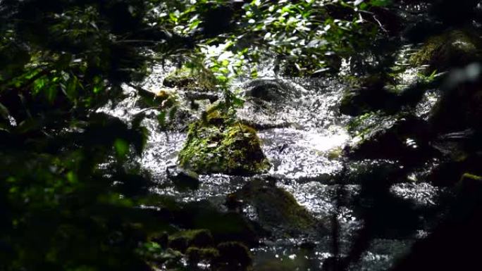 在一条流动的河流中，有石头在水流中旋转