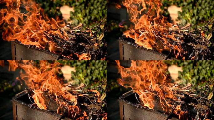 篝火。橙色火焰中燃烧的原木。美丽的火明亮地燃烧着。