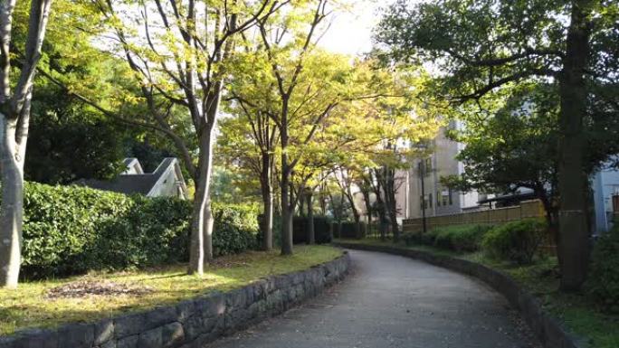 日本东京的Sarue Onshi公园，秋天的颜色