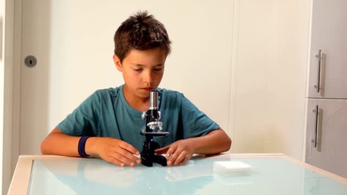 男孩正在研究显微镜载玻片