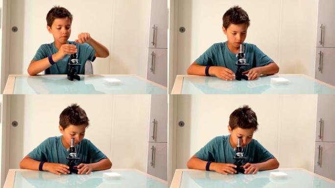 男孩正在研究显微镜载玻片