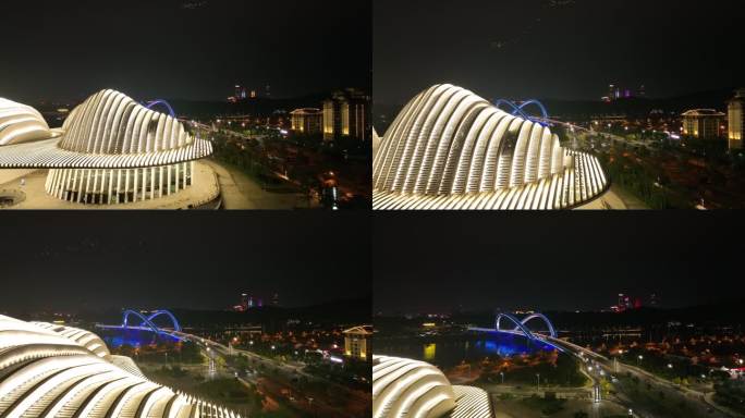 广西文化艺术中心大剧院航拍夜景