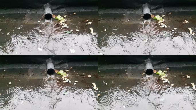 雷暴期间雨水从塑料管中倒出的特写镜头，树叶四处移动