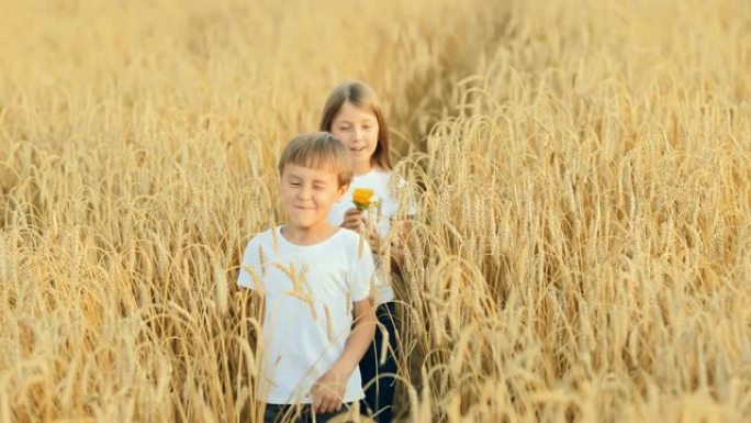 开朗的孩子们去黑麦田里玩得开心。兄妹在草地上散步。